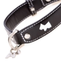 Dogorama Leather Dog Collars